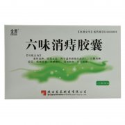陕西东泰  六味消痔胶囊